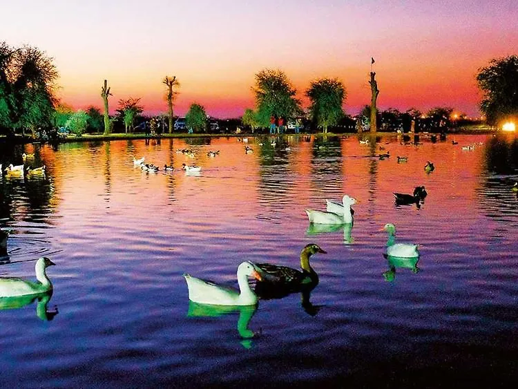 Al Qudra Lakes Camping By Hyba Dubai Capsule hotel
