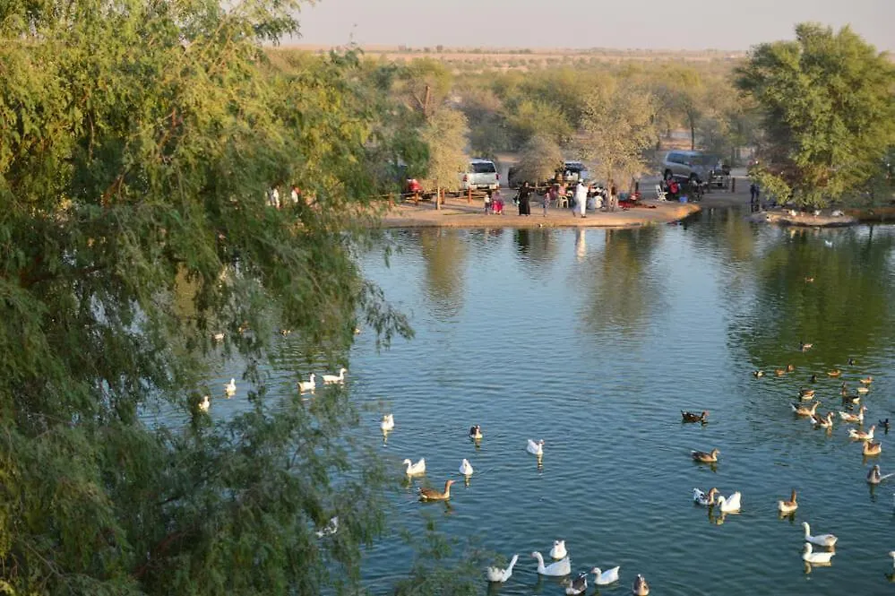 Al Qudra Lakes Camping By Hyba Dubai Capsule hotel