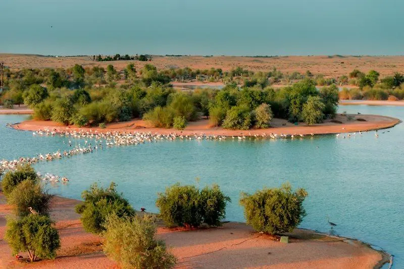Al Qudra Lakes Camping By Hyba Dubai 0*,