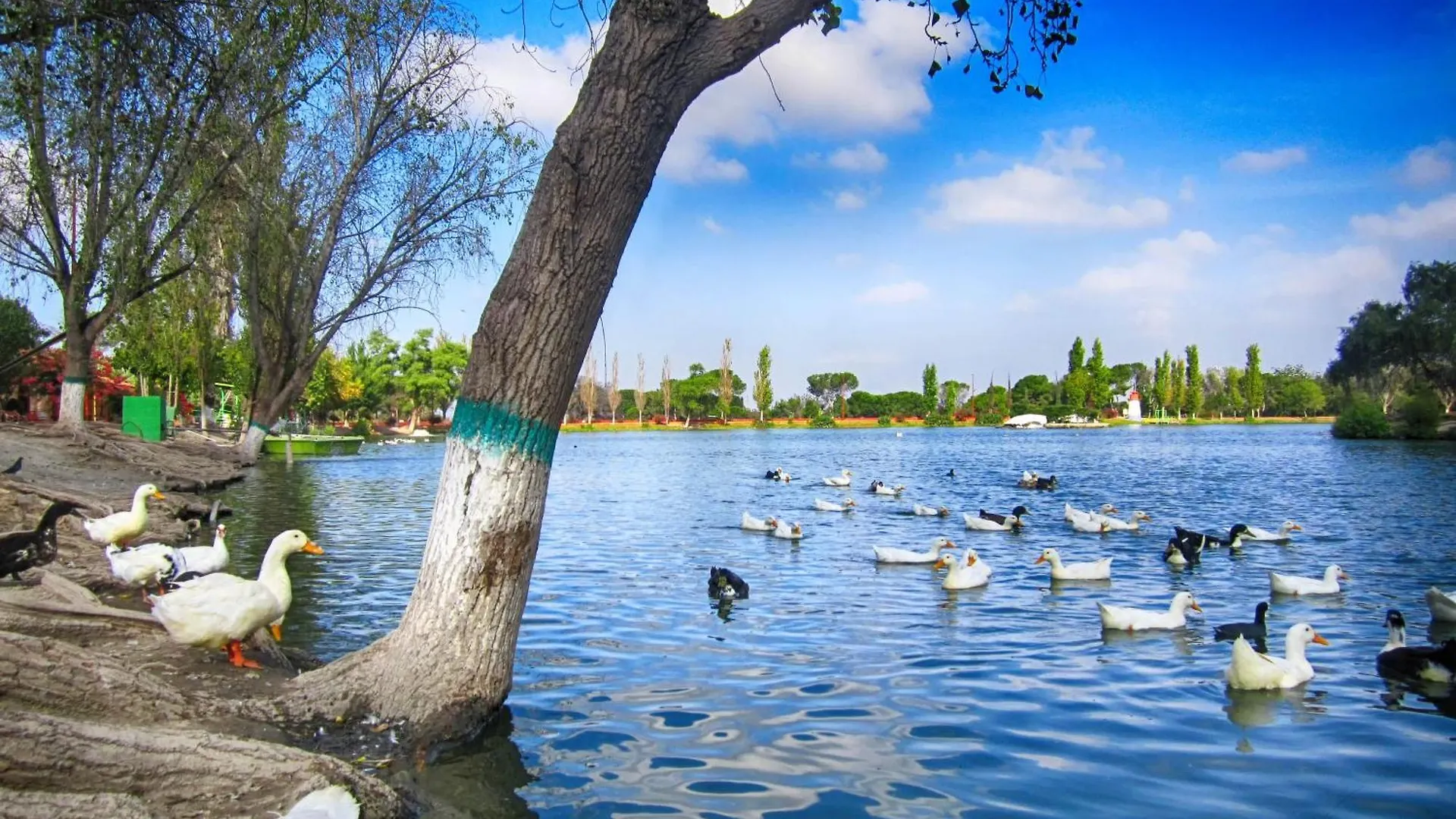 Capsule hotel Al Qudra Lakes Camping By Hyba Dubai